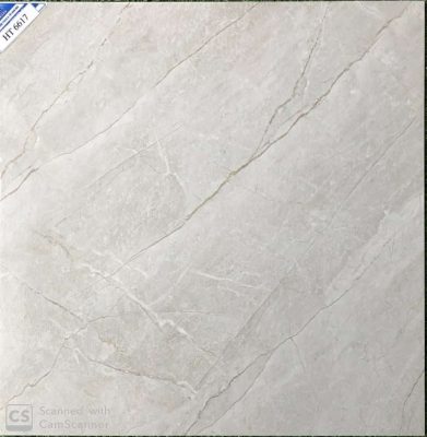 Mẫu gạch lát nền đẹp, Mẫu gạch lát nền đẹp 20 năm không lỗi mốt