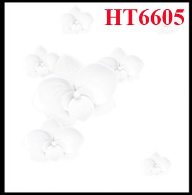 Mẫu gạch lát nền đẹp, Mẫu gạch lát nền đẹp 20 năm không lỗi mốt