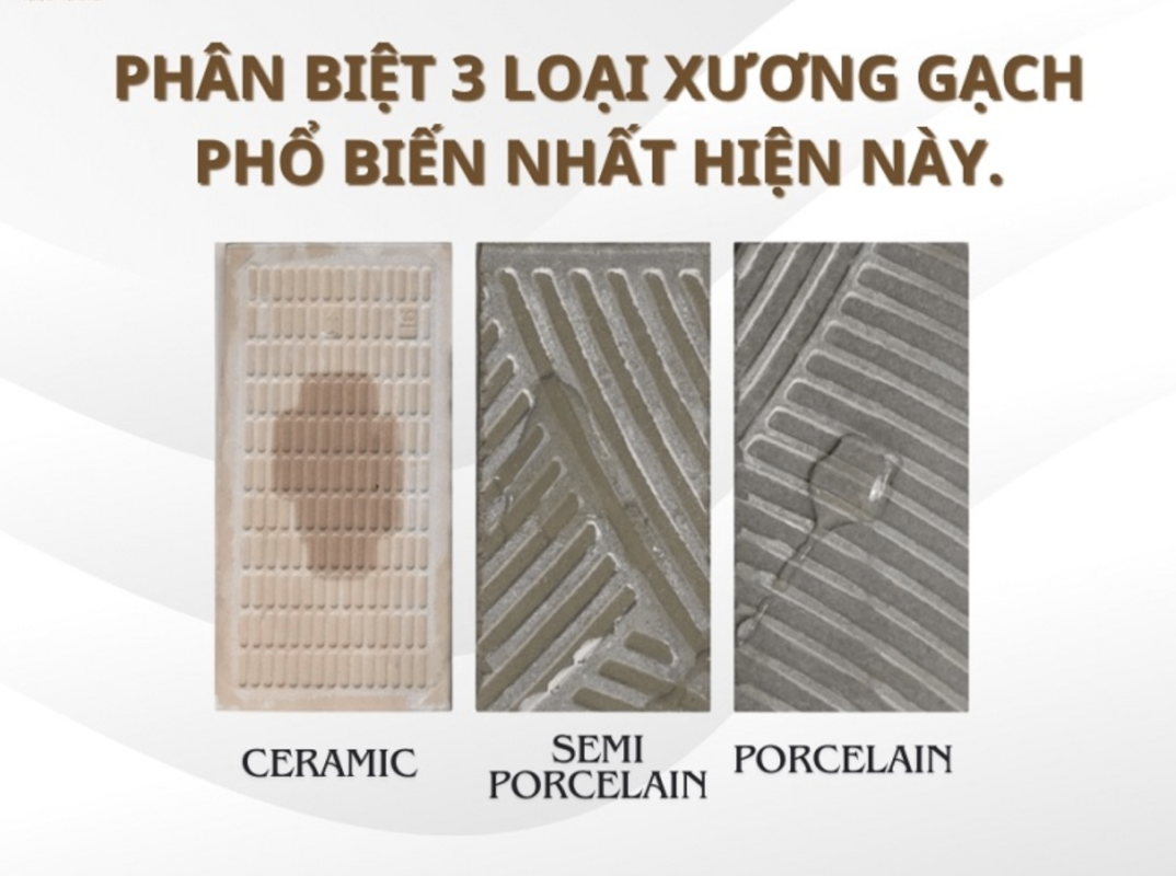 Phân biệt xương gạch, Cách Phân Biệt Các Loại Xương Gạch Phổ Biến Trên Thị Trường ?