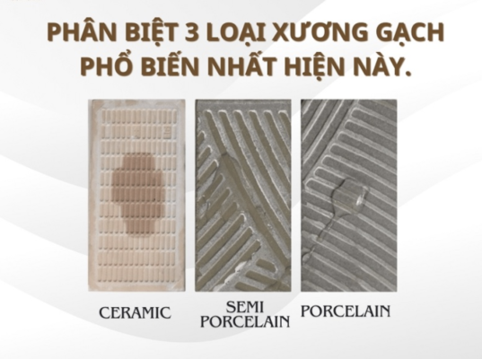 Phân biệt xương gạch