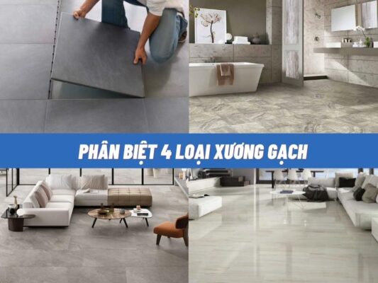cách phân biệt xương gạch